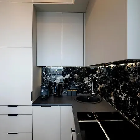 Apartment Hanza Studio 1103 Stettin